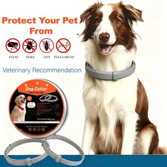 Dog Flea & Tick Collar – Vet-Recommended, 12-Month Protection