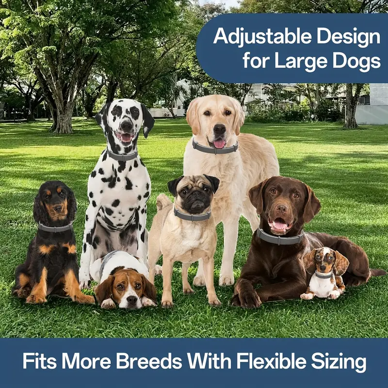 Dog Flea & Tick Collar – Vet-Recommended, 12-Month Protection