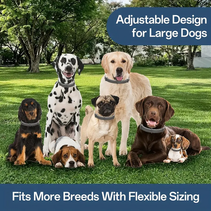 Dog Flea & Tick Collar – Vet-Recommended, 12-Month Protection