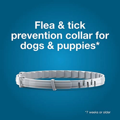 Dog Flea & Tick Collar – Vet-Recommended, 12-Month Protection
