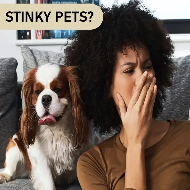 5-in-1 Pet Shampoo & Conditioner – Deep Clean & Fresh Scent (100ml)