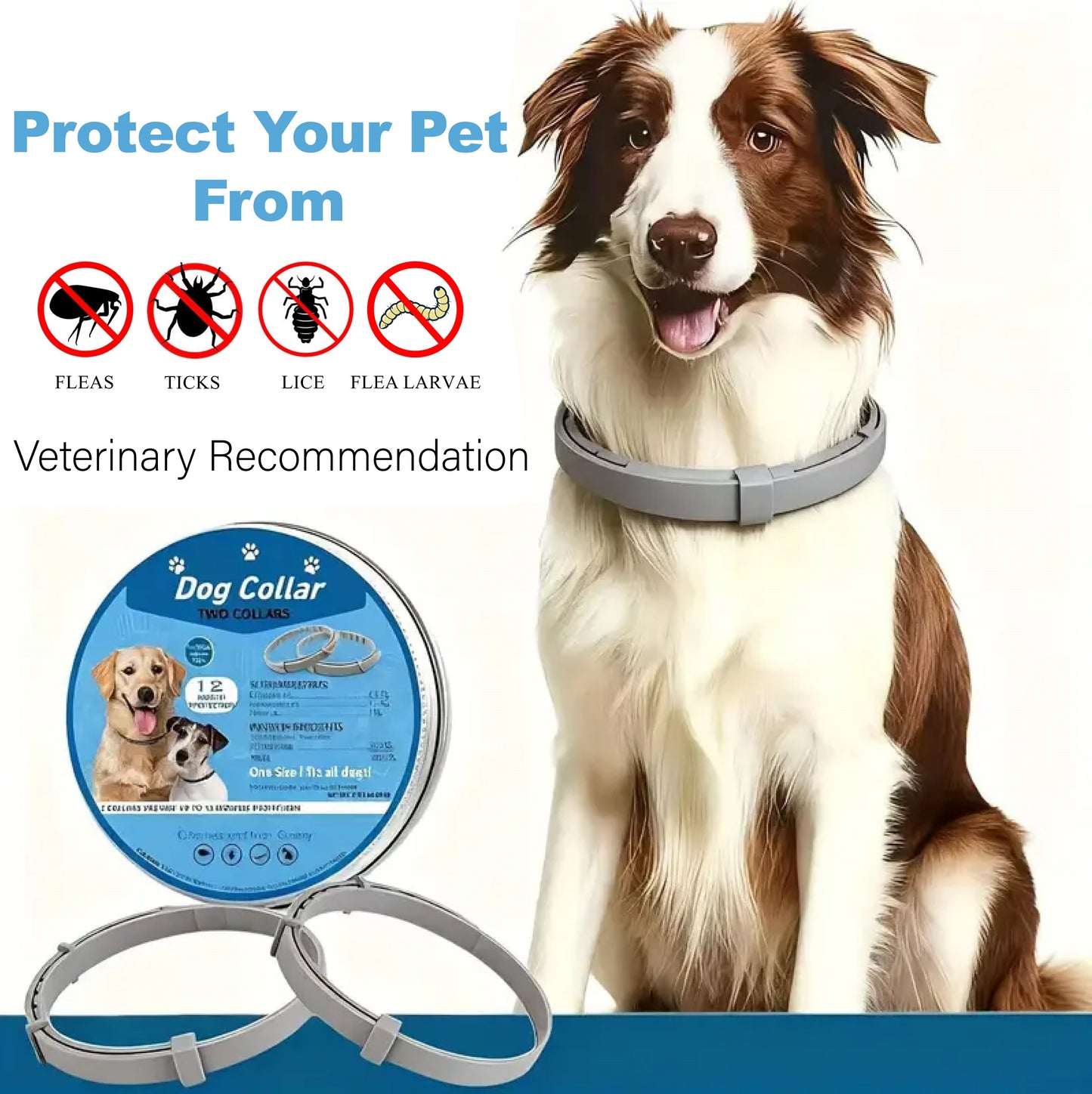 Dog Flea & Tick Collar – Vet-Recommended, 12-Month Protection