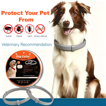 Dog Flea & Tick Collar – Vet-Recommended, 12-Month Protection
